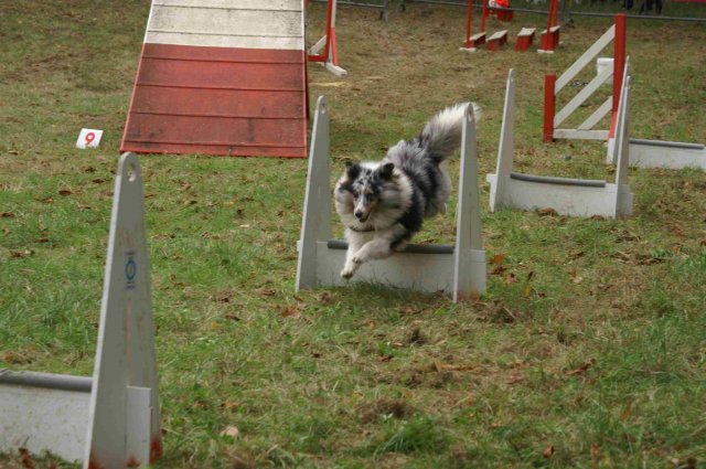 foire-haricots 2011-09-17et18